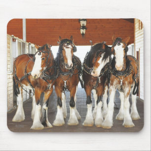 Clydesdale Draught Horses in the Barn Mouse Mat