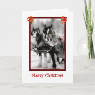 Clydesdale Draught   Horses, Merry Christmas Holiday Card
