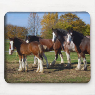 clydesdale group mouse mat