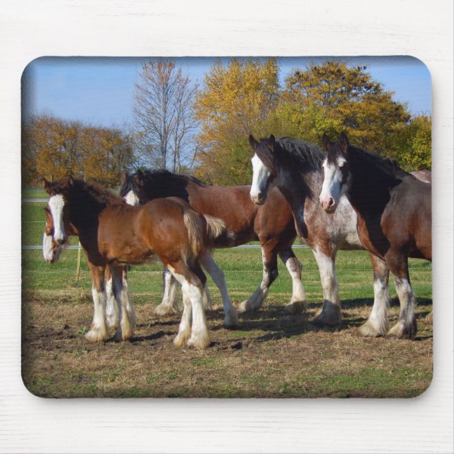 clydesdale group mouse mat (Front)