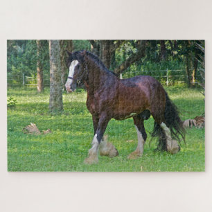 Clydesdale Horse Jigsaw Puzzle
