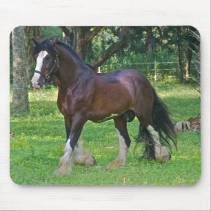 Clydesdale Horse Mouse Mat