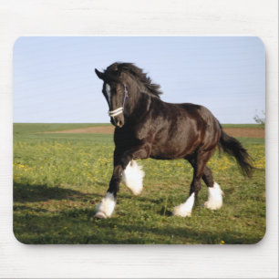 Clydesdale Horse  Mouse Mat
