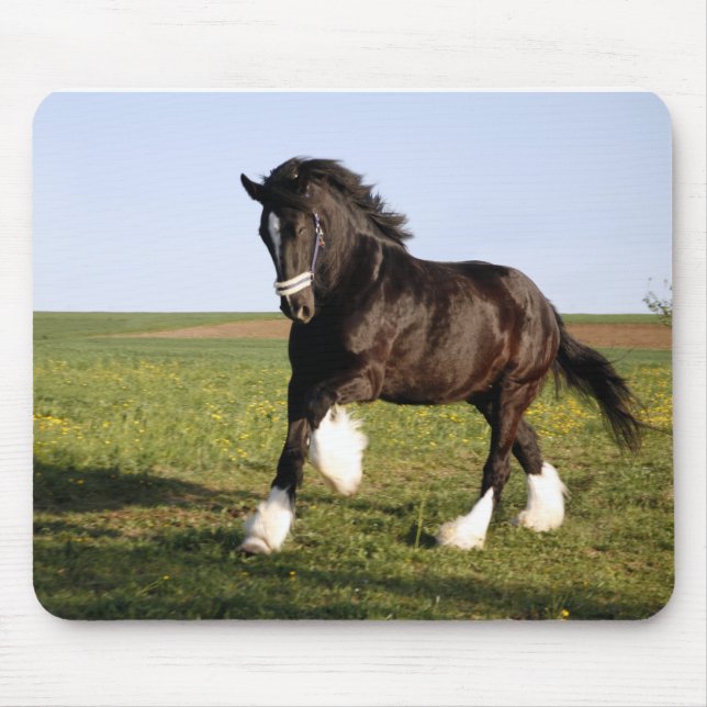 Clydesdale Horse  Mouse Mat (Front)