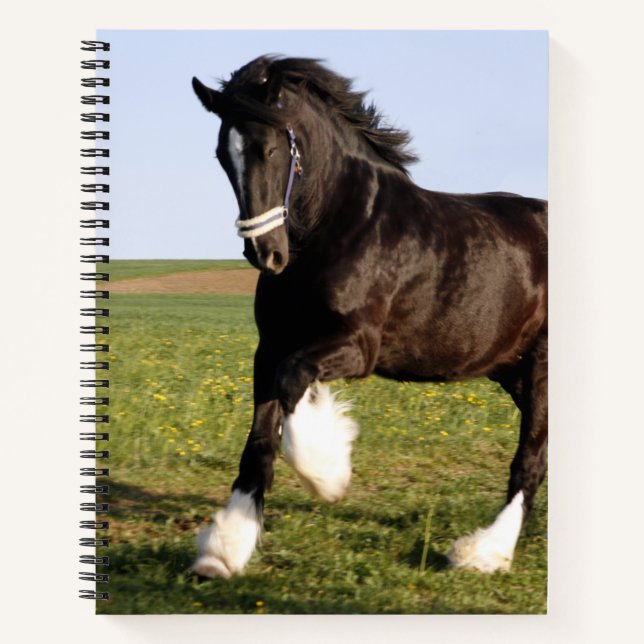 Clydesdale Horse  Notebook (Front)