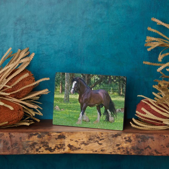 Clydesdale Horse Plaque (Side)