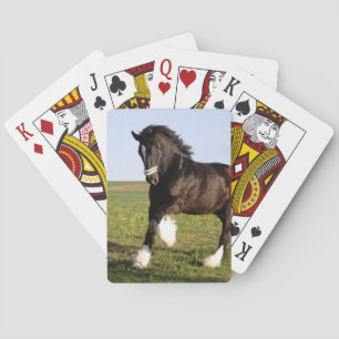 Clydesdale Horse  Playing Cards