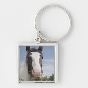 Clydesdale horse portrait key ring