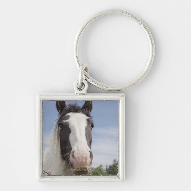 Clydesdale horse portrait key ring (Front)