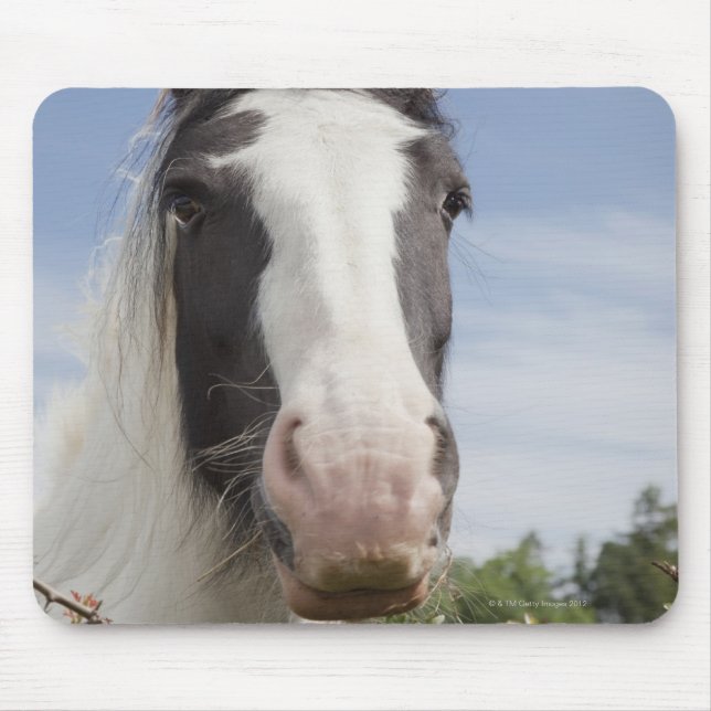 Clydesdale horse portrait mouse mat (Front)