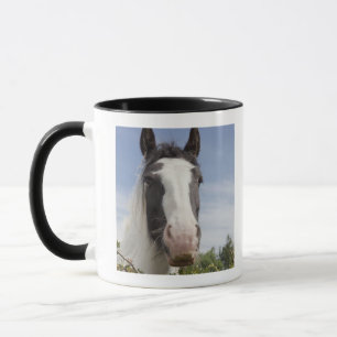 Clydesdale horse portrait mug