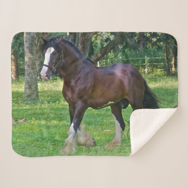 Clydesdale Horse Sherpa Blanket (Front (Horizontal))