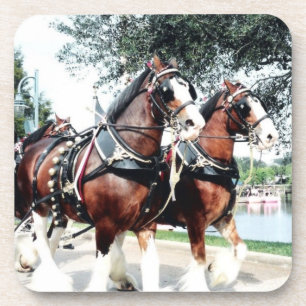 Clydesdale Horses Coaster