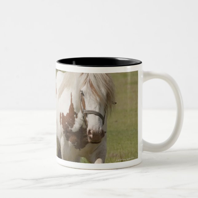 Clydesdale horses in a field, Northumberland, Two-Tone Coffee Mug (Right)