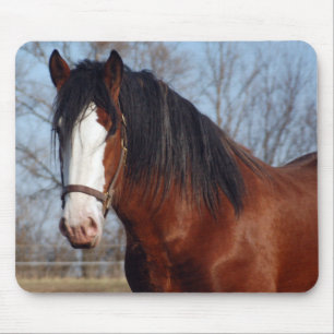 Clydesdale mousepad