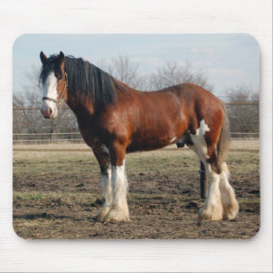 Clydesdale mousepad