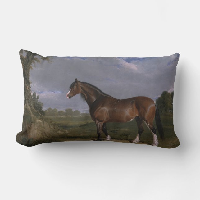 Clydesdale Stallion (Thoroughbred Horse) (Animal) Lumbar Cushion (Front)