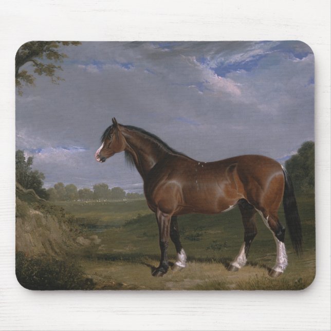 Clydesdale Stallion (Thoroughbred Horse) (Animal) Mouse Mat (Front)