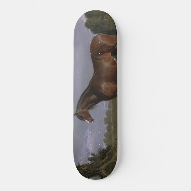 Clydesdale Stallion (Thoroughbred Horse) (Animal) Skateboard (Front)