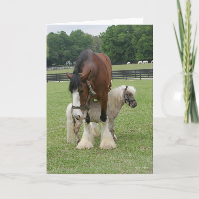 Clydesdale Standing over Miniature Pony Card (Front)