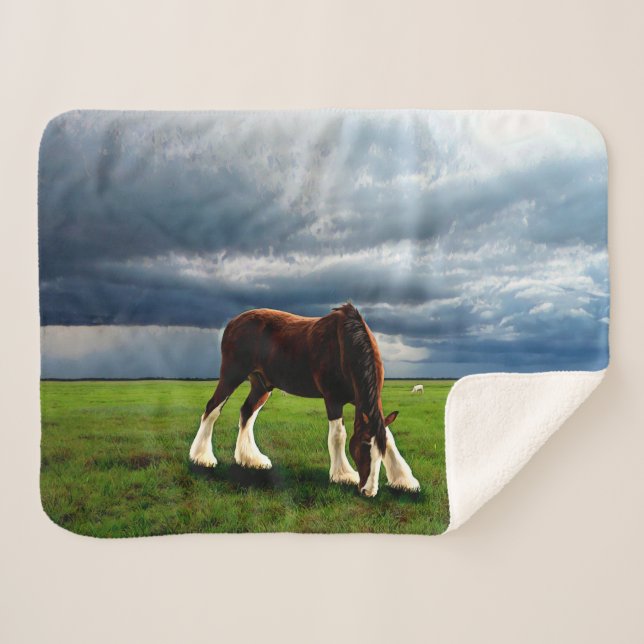 Clydesdale Storm Sherpa Blanket (Front (Horizontal))