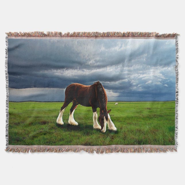 Clydesdale Storm Throw Blanket (Front)