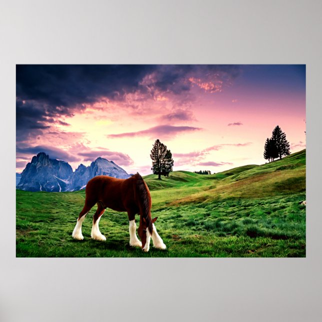 Clydesdale Sunset Poster (Front)