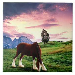 Clydesdale Sunset Tile