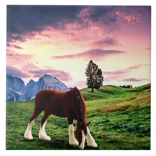 Clydesdale Sunset Tile (Front)