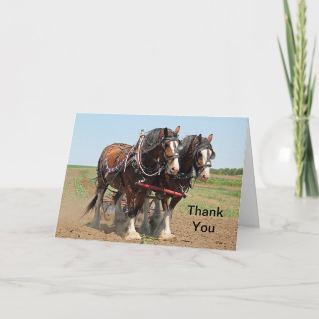 Clydesdale Thank You Card (Front)