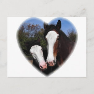 Clydesdales in heart postcard