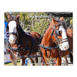 Clydesdales & other heavy horse breeds 2027  calendar