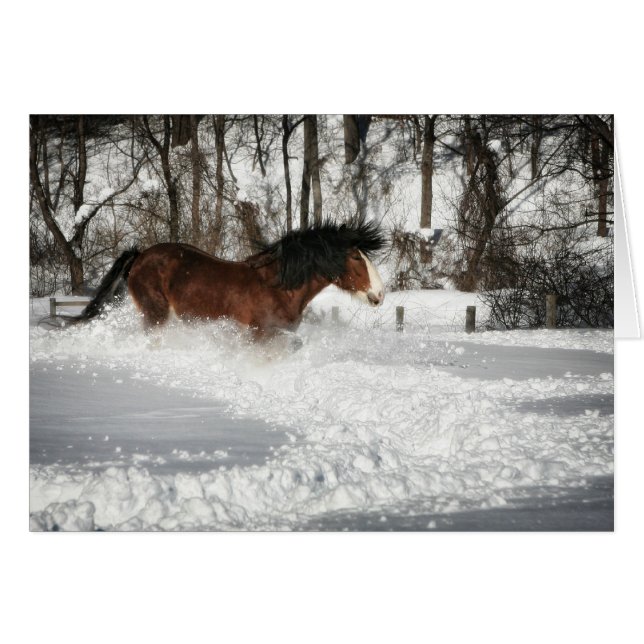 Clydesdale's Snowy Run (Front Horizontal)