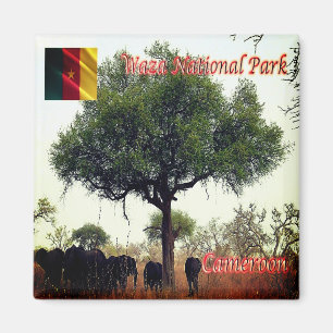 CM - Cameroon - Elephants in Waza National Park Magnet