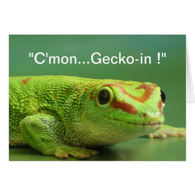 "Cmon...Gecko-in !" (Front Horizontal)