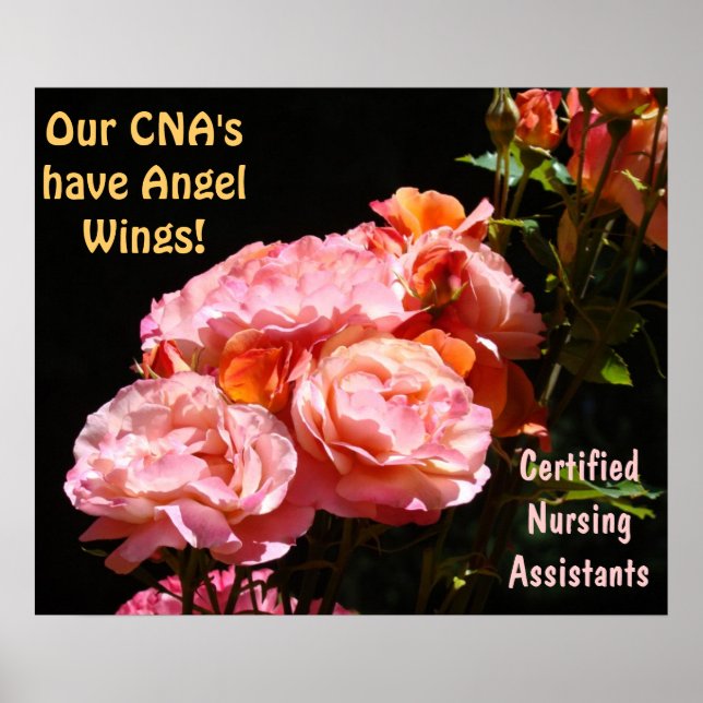 CNAs posters Certified Nursing Assistants Angels (Front)