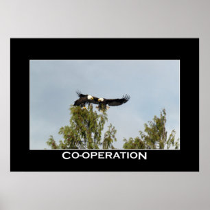 CO-OPERATION Bald Eagles Photo Poster