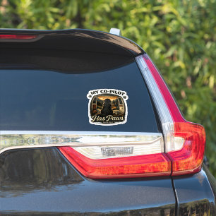 Co Pilot Newfie
