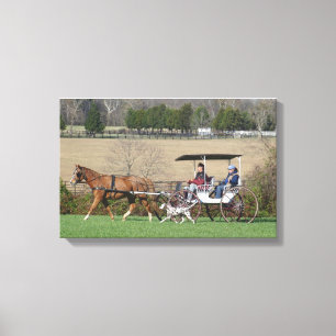Coach Dog Canvas Print