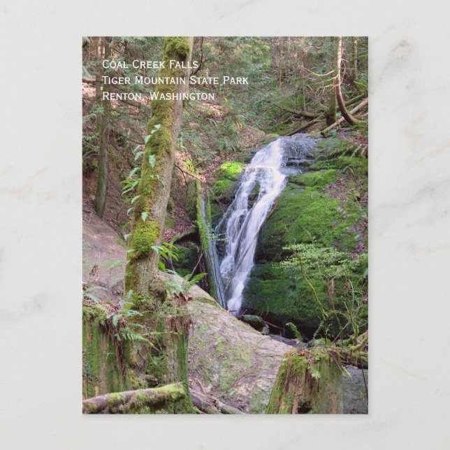 Coal Creek Falls Postcard (Front)