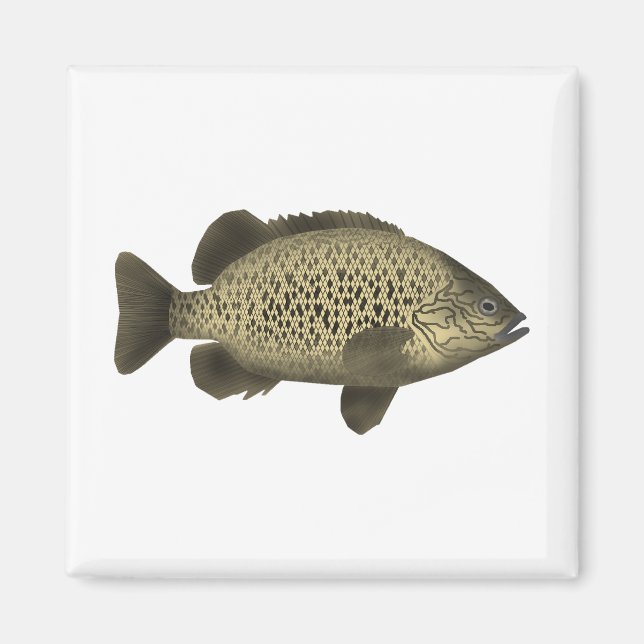Coal Grunter Magnet (Front)