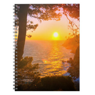 Coast, evening light notebook