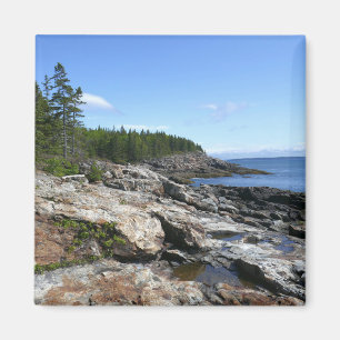 Coast of Bar Island at Acadia National Park Magnet