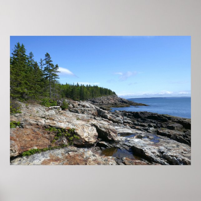 Coast of Bar Island at Acadia National Park Poster (Front)