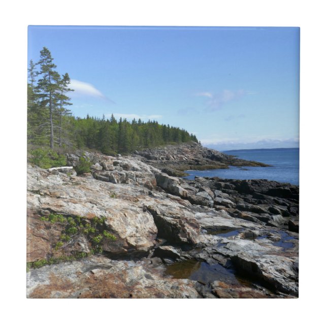 Coast of Bar Island at Acadia National Park Tile (Front)