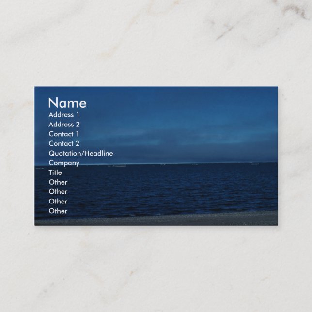Coastal Area 51 Business Card (Front)
