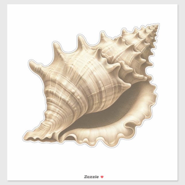 Coastal/beach/nautical seashell  (Sheet)