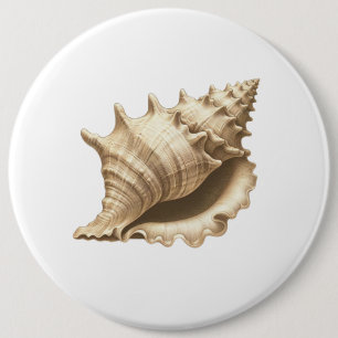 Coastal/beach/nautical seashell 6 cm round badge