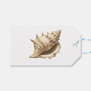 Coastal/beach/nautical seashell gift tags