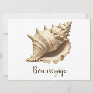 Coastal/beach/nautical seashell  holiday card